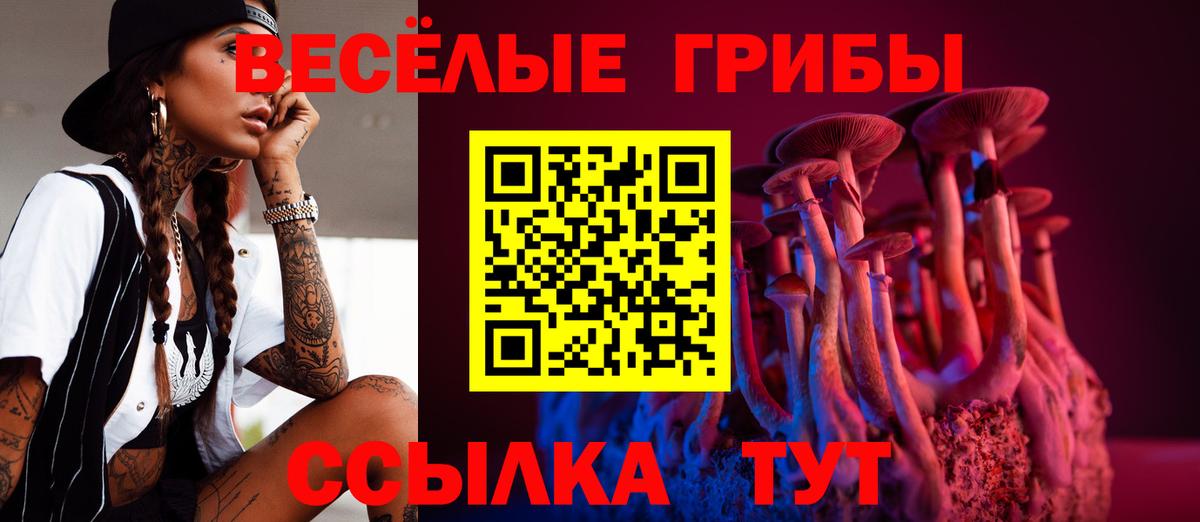 Псилоцибиновые грибы Psilocybine cubensis  Вход с VPN  Псилоцибиновые грибы прущие грибы  Октябрьский 
